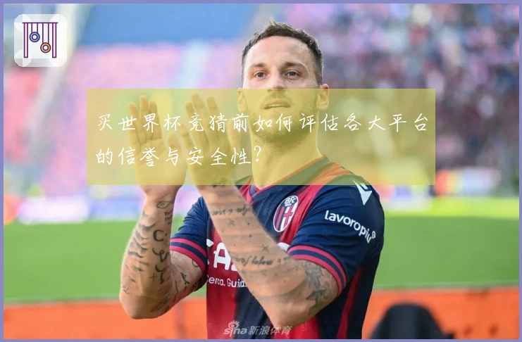 买世界杯竞猜前如何评估各大平台的信誉与安全性？