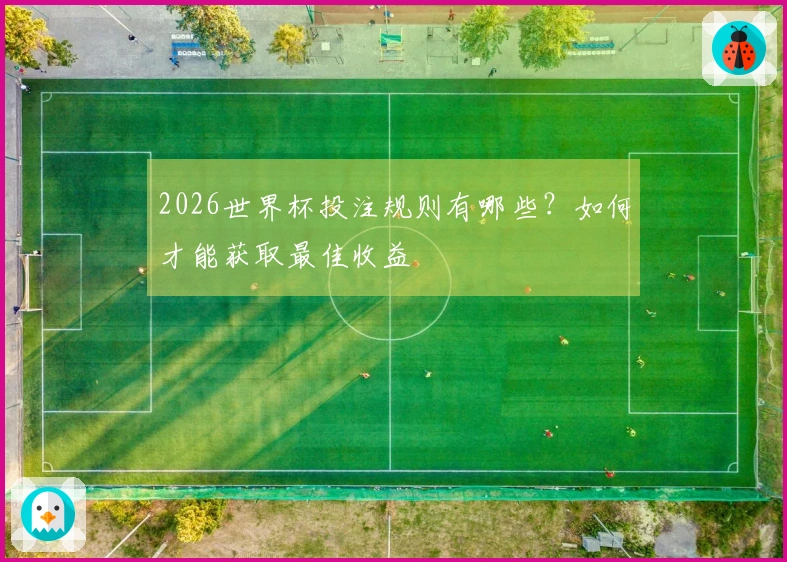 2026世界杯投注规则有哪些？如何才能获取最佳收益